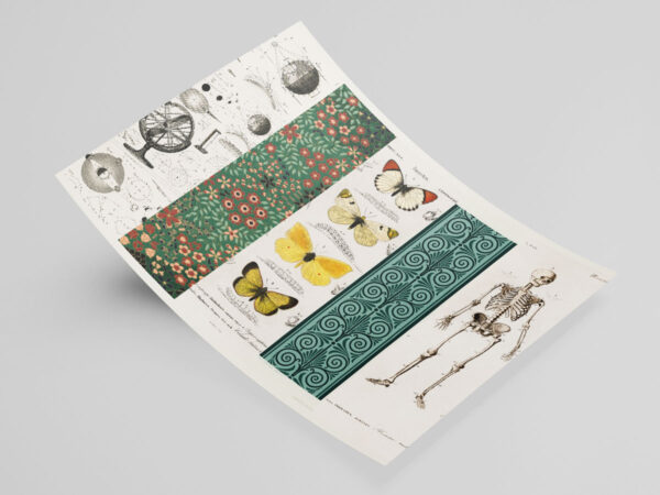 Semne de Carte Vintage Fata care editeaza