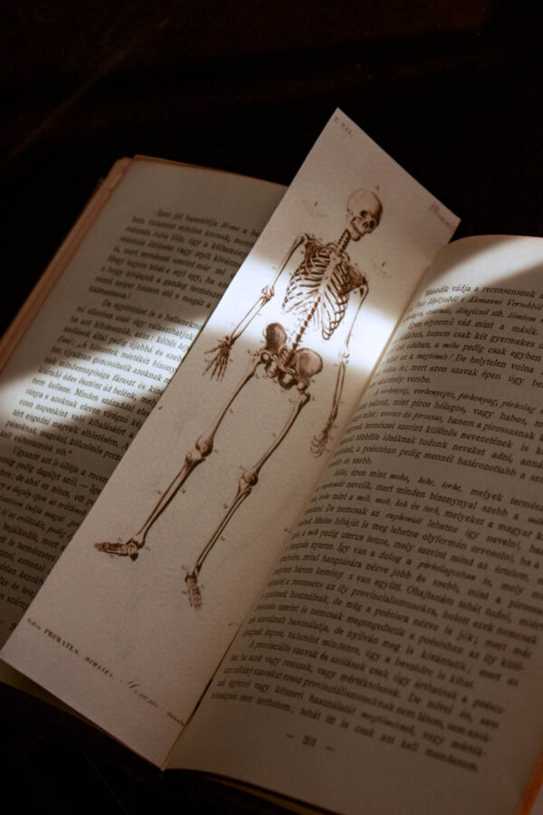 vintage bookmark set - print it yourself - fata care editează