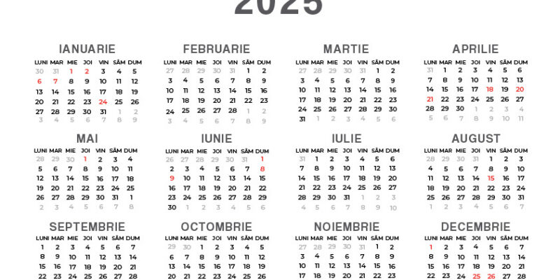 Calendar 2025 - anual, lunar și project planner PNG A5 și JPG/PDF A4
