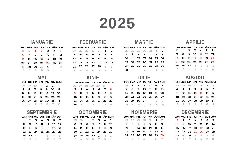 Calendar 2025 - anual, lunar și project planner PNG A5 și JPG/PDF A4