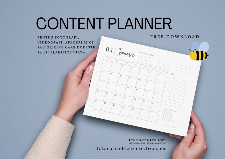 Calendar postari social media PDF - 13 pagini